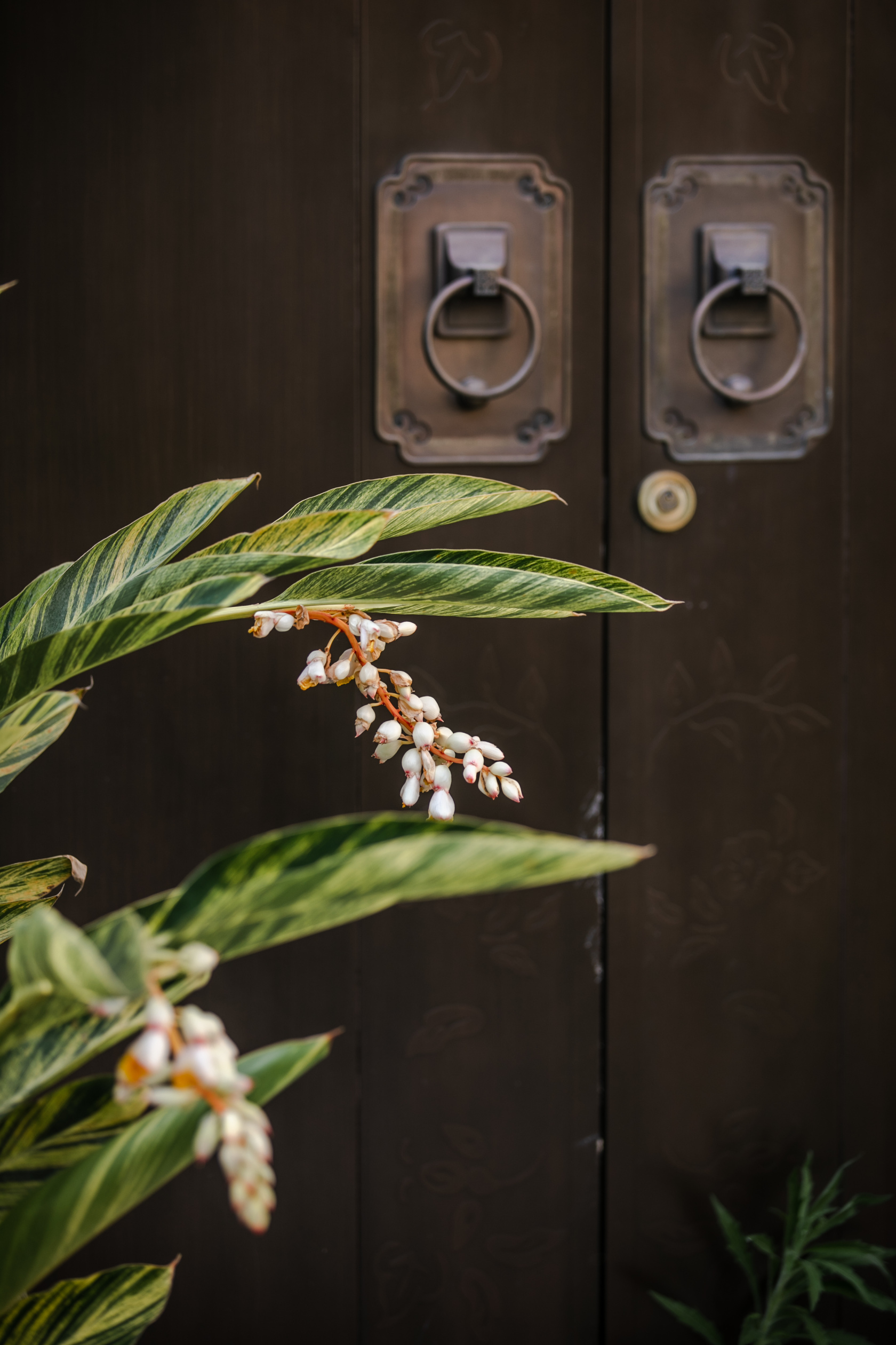 Wuyi Mountain Yueju Holiday Villa Over view