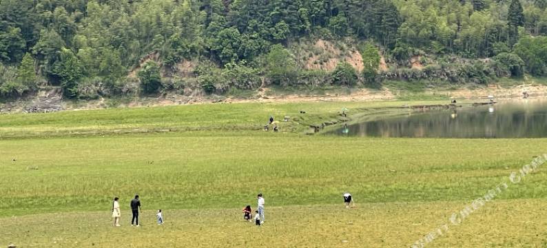 泰宁鹭祥南会宾馆(大金湖景区店)图片