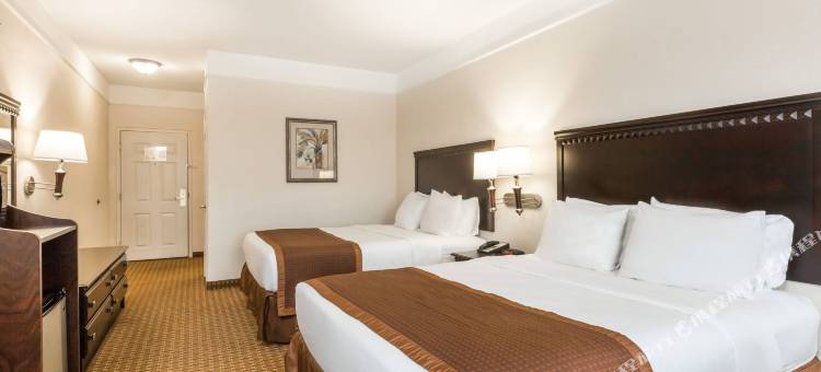 加尔维斯顿温德姆呗盟酒店(Baymont by Wyndham Galveston)图片