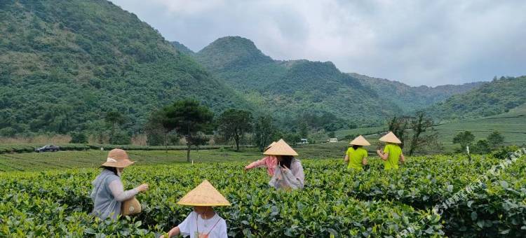 英德芸汐温泉度假别墅(积庆里仙湖旅游度假区店)图片