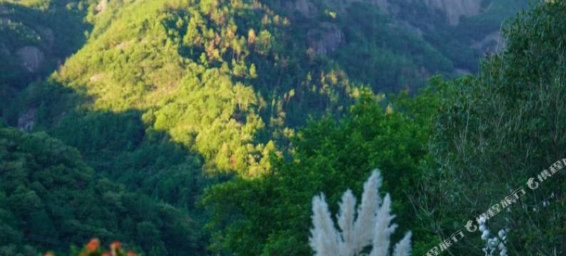 仙居一苇精品度假隐宿图片