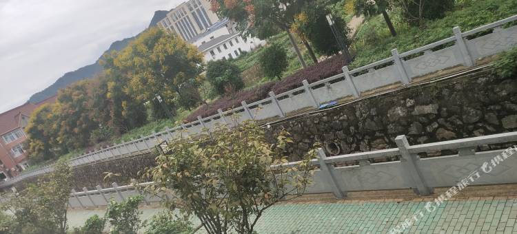 杭州鹿园民宿图片