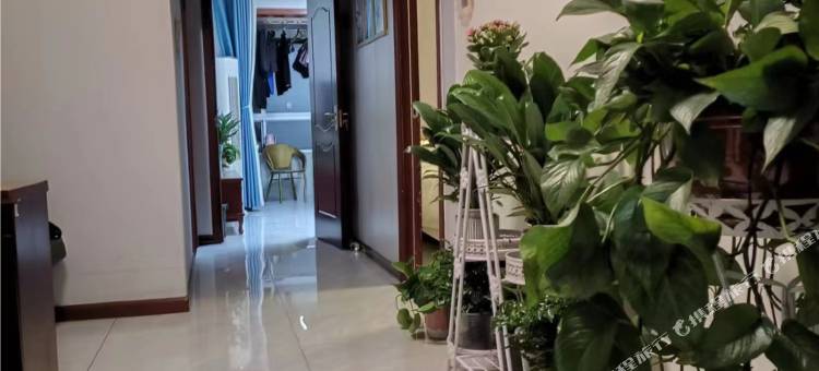西安丽致假日宾馆(北站北广场店)图片