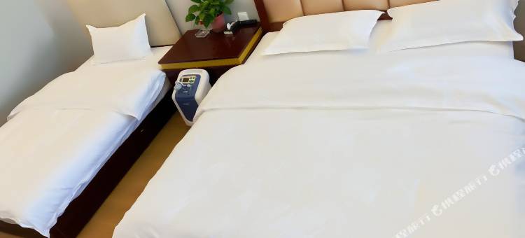 金雨生态酒店图片