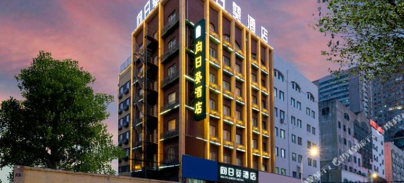 哈尔滨向日葵酒店(中央大街索菲亚教堂店)图片