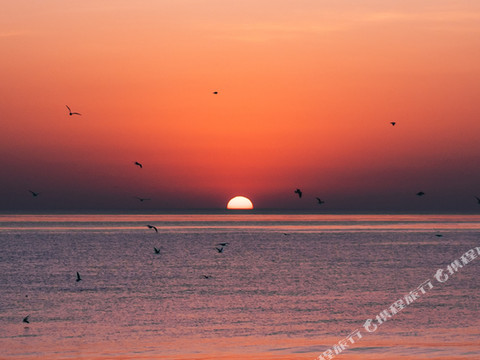 伴湾海边民宿(孤独图书馆店)
