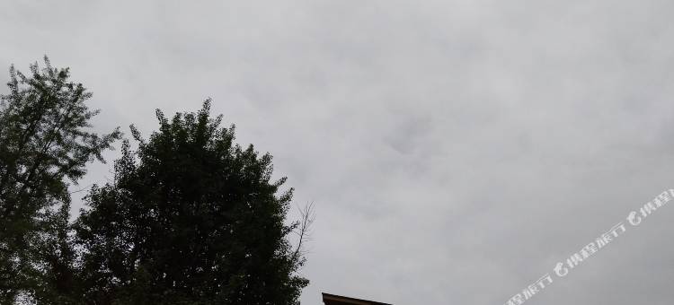 颖颖的院子图片