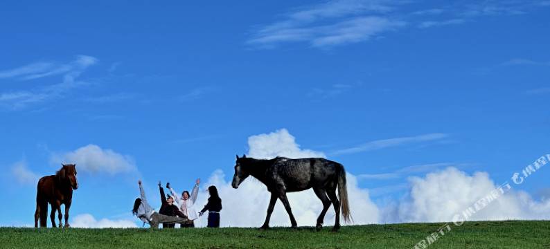 欢栖静舍民宿图片