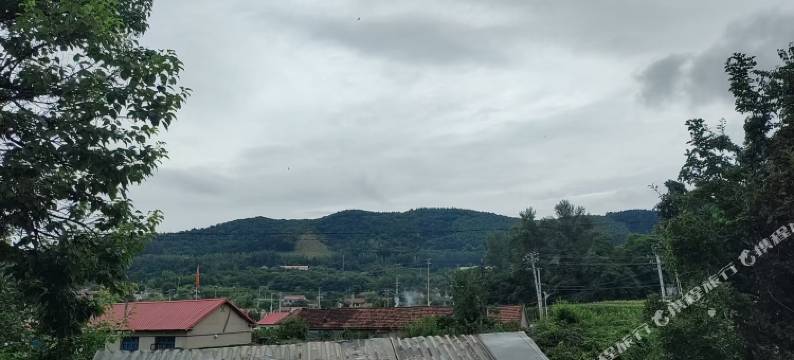 志阳农家院图片