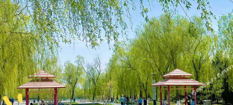 嘉峪关鑫红太阳招待所图片