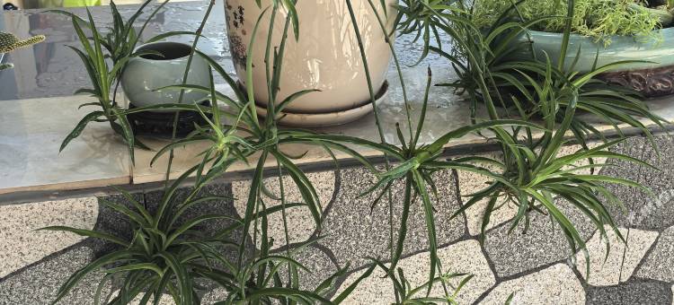 瑞和宾馆(安吉高铁站店)图片