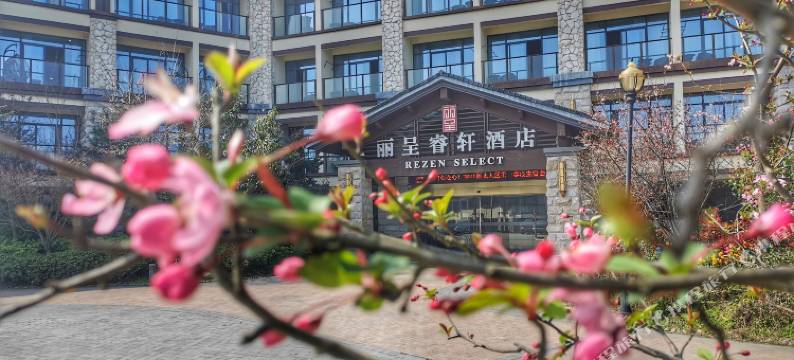 千岛湖中心湖码头丽呈睿轩酒店图片