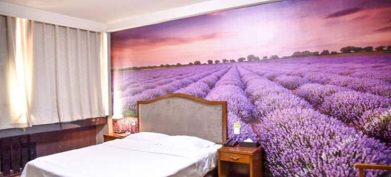 渑池丽都酒店图片