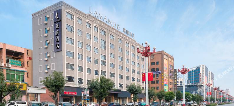 麗枫酒店(东莞大朗松山湖北站店)图片