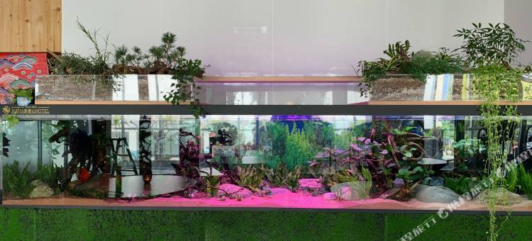 那霸新都心酒店(Naha Shintoshin Hotel)图片