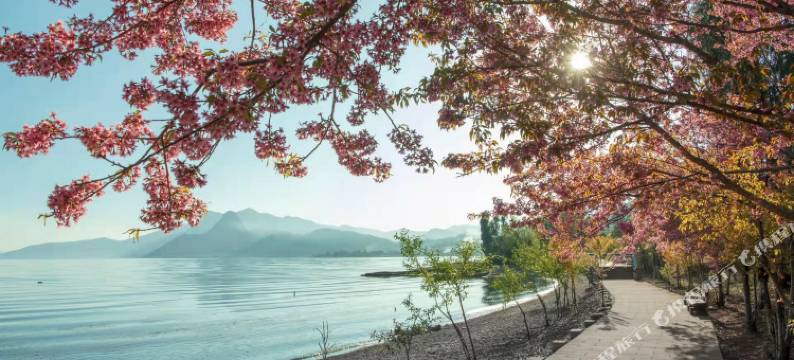 抚仙湖玲翊轩客栈(广龙小镇店)图片