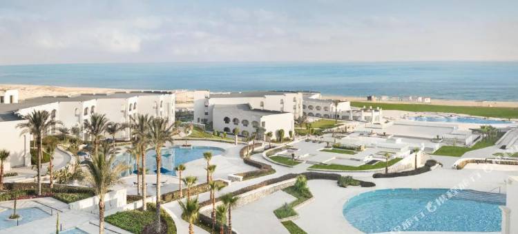 Cleopatra Sidi Heneish图片