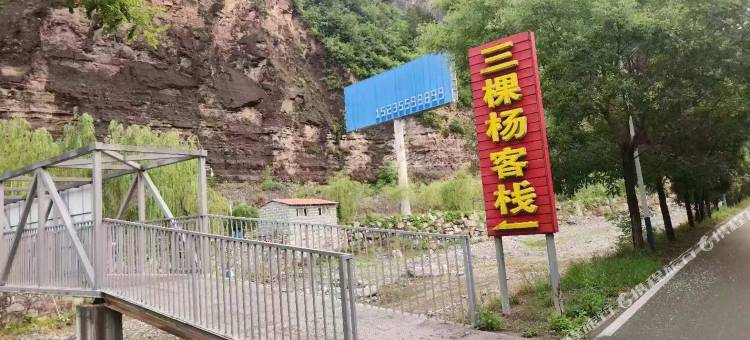 三棵杨客栈图片