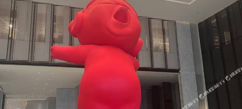 美雪之灵.听雪酒店图片