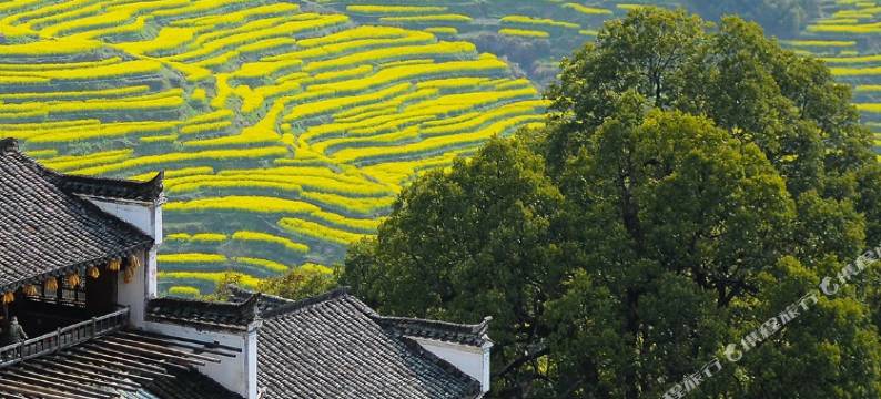 森缦居·汉服美学设计师晒秋美宿(篁岭景区店)图片