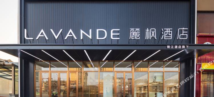 麗枫酒店(彰武中华路鼎信时尚广场店)图片