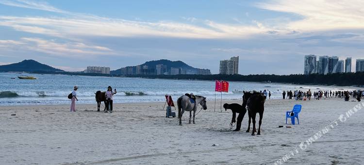 拾海集民宿图片