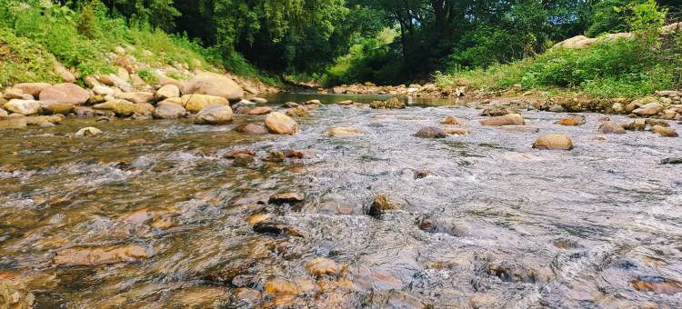 溪客民宿(东林寺店)图片