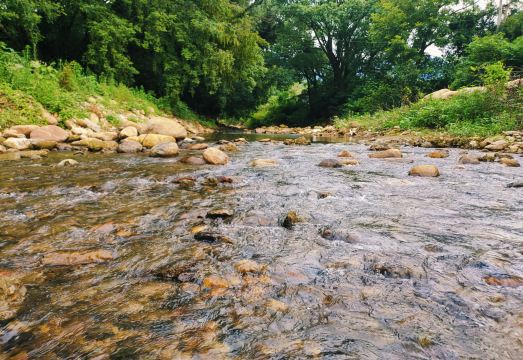 Xike Homestay (Donglinsi Branch)Hotel Overview