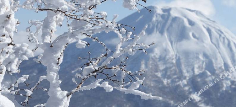 枫叶旅馆(The Maples Niseko)图片