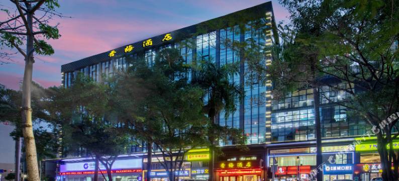 香梅连锁酒店(深圳景田北店)图片