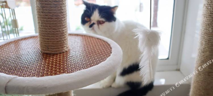 嵊泗如约而至海景民宿图片