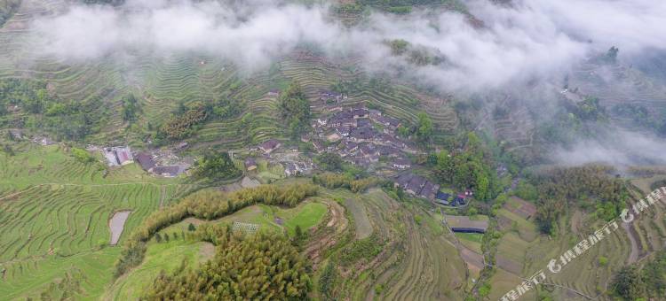 花漫里·禅修疗愈民宿(云和梯田景区店)图片