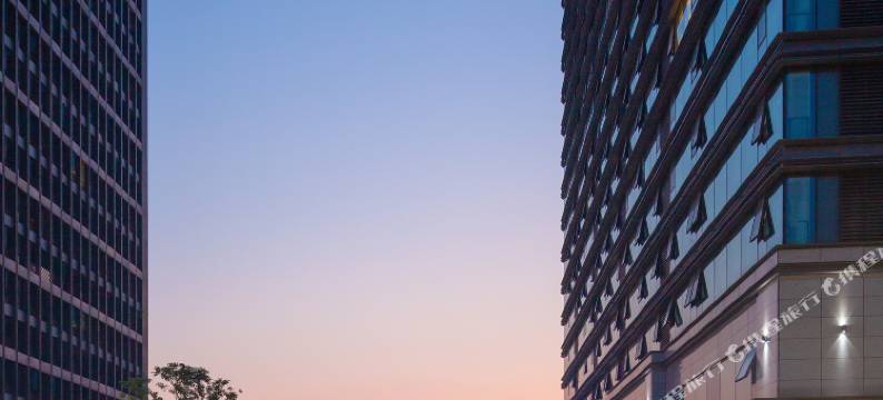 浙大圆正·森林酒店图片