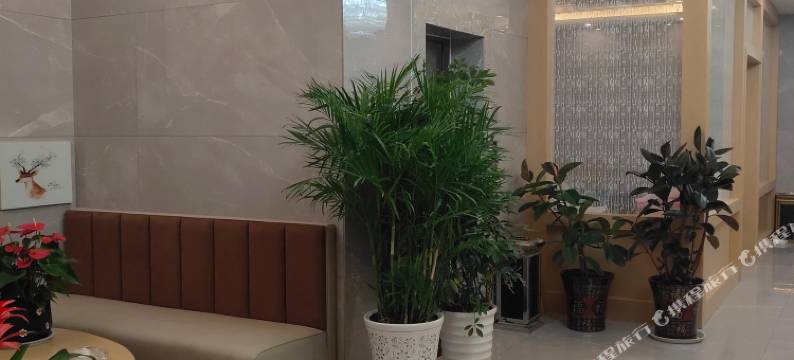 睢宁权宇花园酒店图片