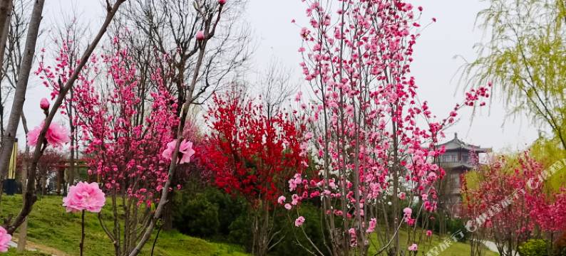 柒天酒店(渭南临渭区高铁北站店)图片