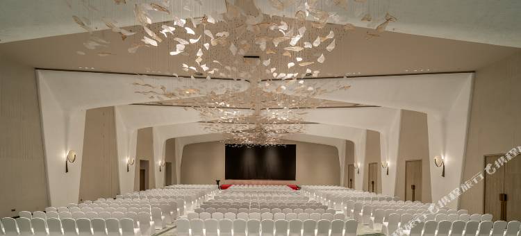 金华磐安宝龙艺珺酒店图片