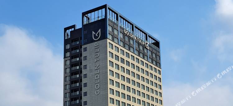 金郁金香艾佛龙仁饭店(Golden Tulip Ever Yongin)图片