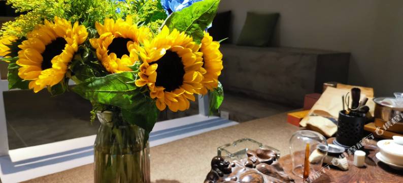 景洪泰逗青年旅舍图片