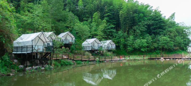 野宿·星空营地图片