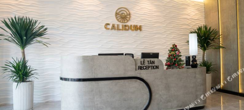 富国岛卡里杜姆酒店(Calidum Phu Quoc Hotel)图片