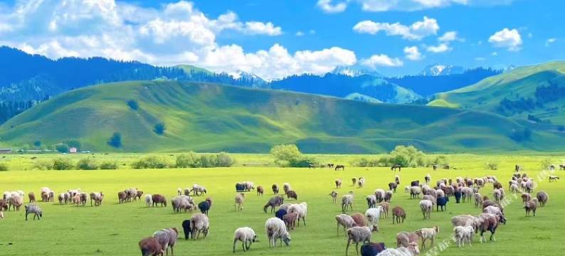 那拉提客乡居客栈图片