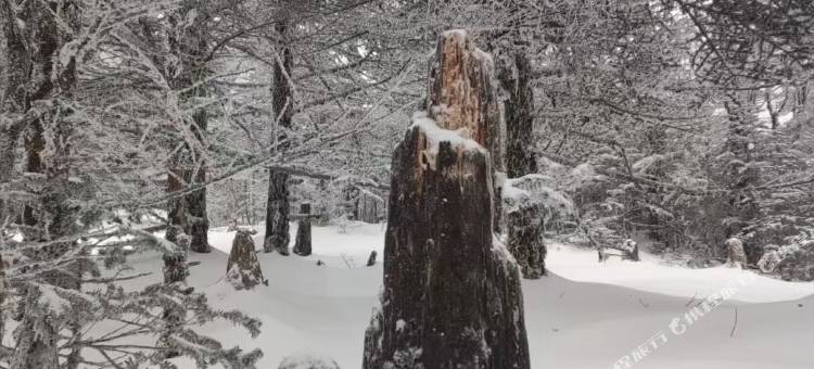 轿子雪山缘何酒店图片