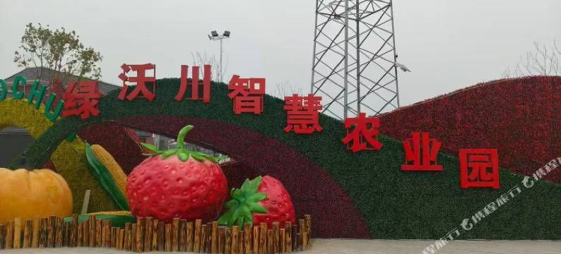 当阳绿沃川太空舱民宿图片