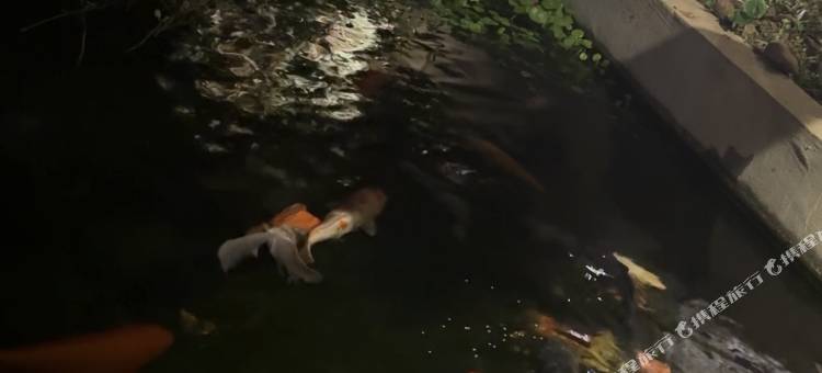 恭城云山见民宿图片