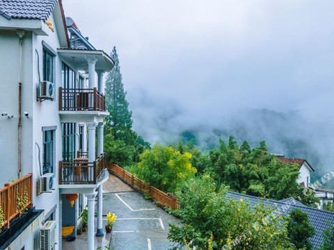 临安古树枫林民宿(指南村店)