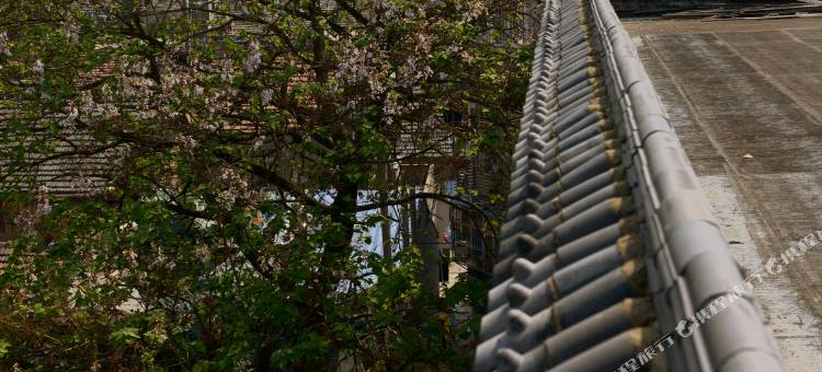 南京青果里人文旅宿图片