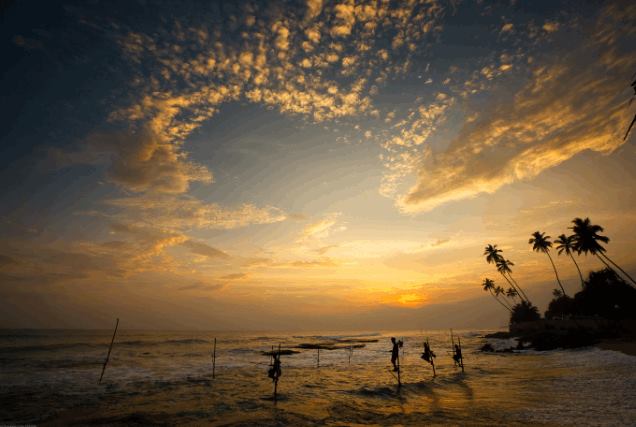 Hilton JaipurOver view