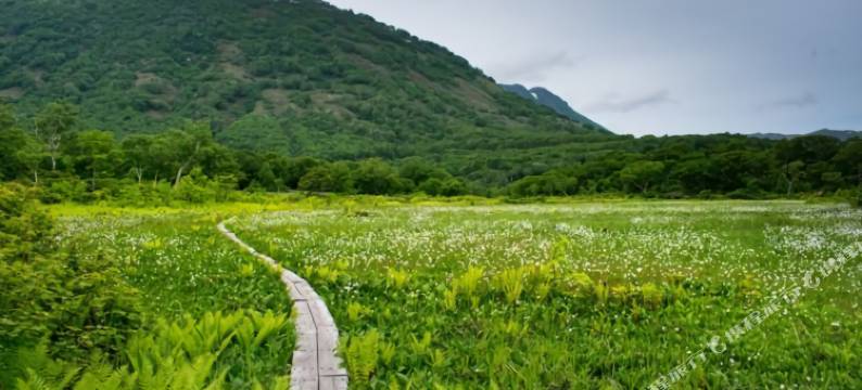 Mountainside Palace(Mountainside Palace)图片