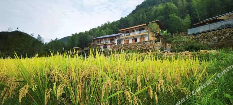 武夷山鹤鸣山房图片