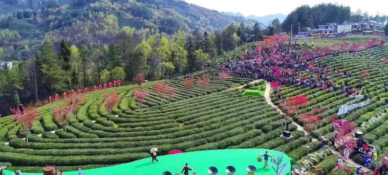 紫阳木鱼包民宿图片